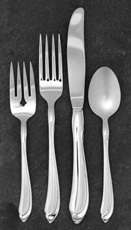 Shasta (Stainless) 4 Piece Place Setting