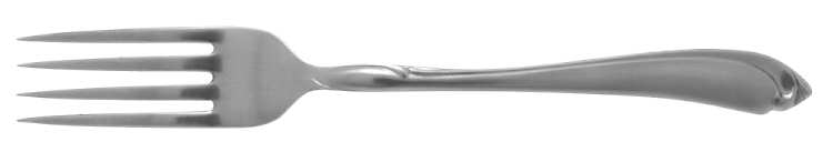 Shasta (Stainless) Fork