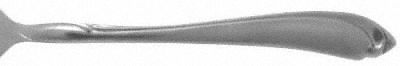 Shasta (Stainless) by Oneida Silver