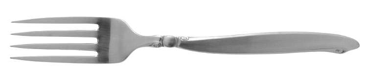 Shoreline (Stainless, Glossy Finish) Fork