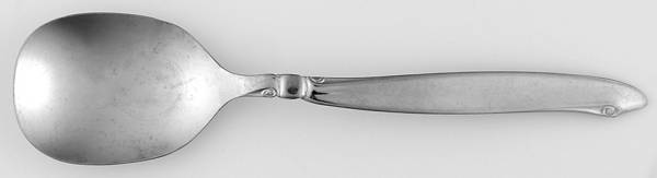 Shoreline (Stainless, Glossy Finish) Sugar Spoon