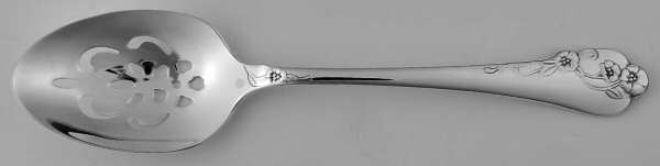 Southern Garden (Silverplate, 1989) Pierced Tablespoon (Serving Spoon)