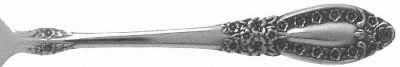 Spring Festival (Stainless) by Oneida Silver
