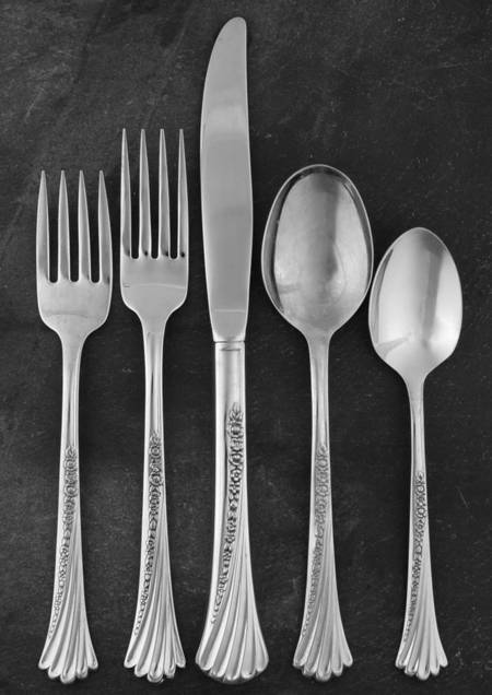 Spring Glen (Stainless) 5 Piece Place Setting
