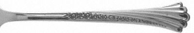 Spring Glen (Stainless) by Oneida Silver