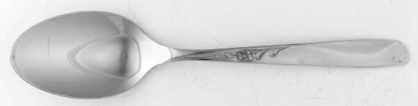 Spice (Stainless) Tablespoon (Serving Spoon)