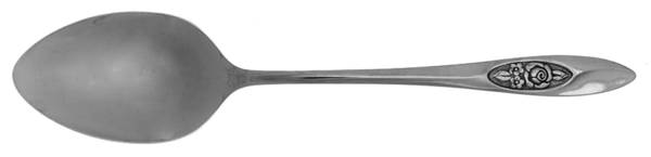 Spring Valley (Stainless) Tablespoon (Serving Spoon)