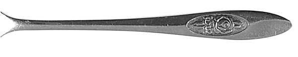 Spring Valley (Stainless) by Oneida Silver