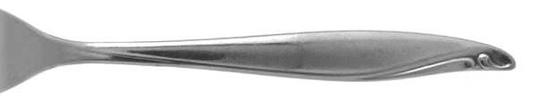 Surf Club (Stainless, Wm A Rogers) by Oneida Silver