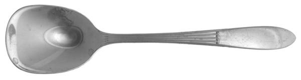 Surf Maid (Stainless) Sugar Spoon