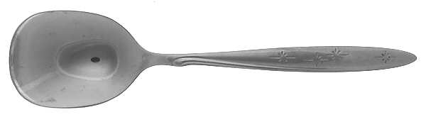 Sunburst (Stainless) Sugar Spoon