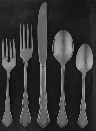 Trinity (Stainless) 5 Piece Place Setting