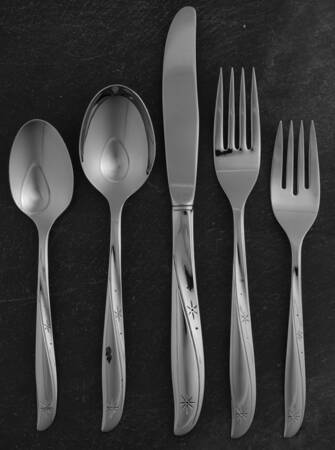 Twin Star (Stainless) 40 Piece Estate Set
