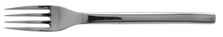 Vectra (Stainless) Fork