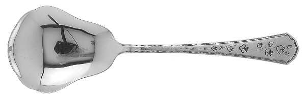 Vermeer (Stainless) Solid Shell Casserole Spoon