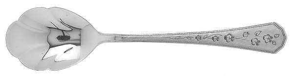 Vermeer (Stainless) Sugar Shell Spoon