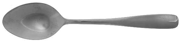 Village Common (Stainless) Teaspoon
