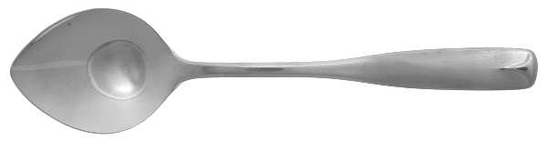 Village Common (Stainless) Sugar Spoon