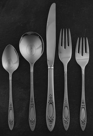 Vignette (Stainless) 5 Piece Place Setting