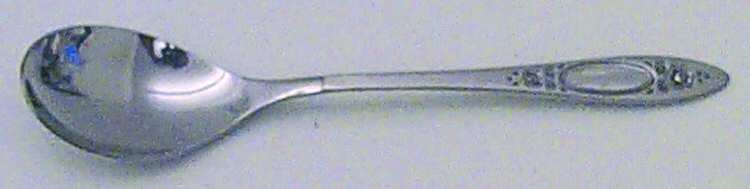 Vignette (Stainless) Ice Cream Spoon Individual