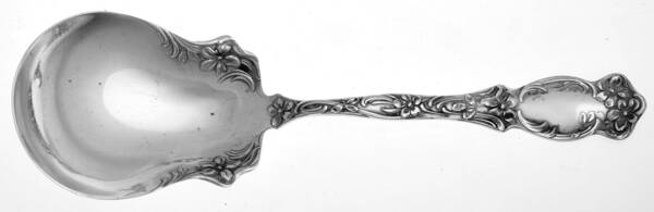 Violet (Slvp, 1905, SL & GH Rogers, No Monograms) Solid Smooth Casserole Spoon