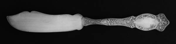 Violet (Slvp, 1905, SL & GH Rogers, No Monograms) Flat Handle Master Butter Knife