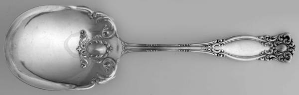 Warwick (Silverplate, 1901) Solid Smooth Casserole Spoon