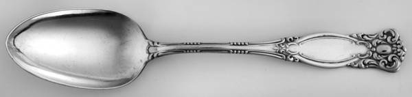 Warwick (Silverplate, 1901) Place/Oval Soup Spoon