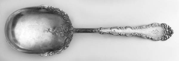 Webster I (Silverplate, 1900) Solid Smooth Casserole Spoon