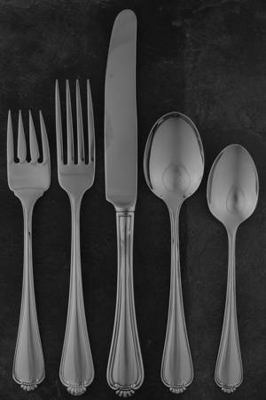 Winter Hill (Stainless) 5 Piece Place Setting