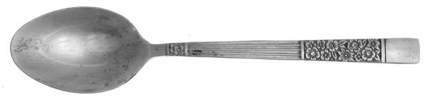 Wildwood (Stainless) Teaspoon