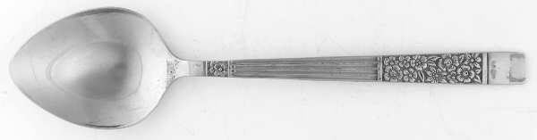 Wildwood (Stainless) Sugar Spoon