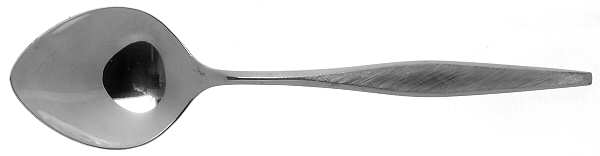 Windrift (Stainless) Sugar Spoon