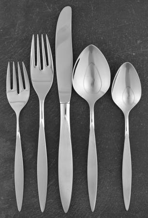 Wintersong (Stainless) 5 Piece Place Setting