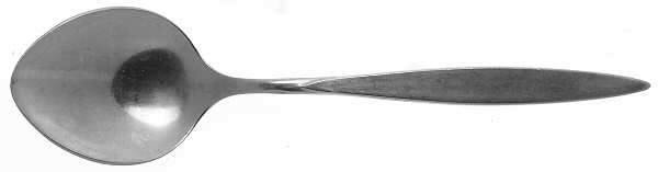 Wintersong (Stainless) Sugar Spoon