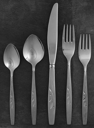Will O' Wisp (Stainless) 5 Piece Place Setting