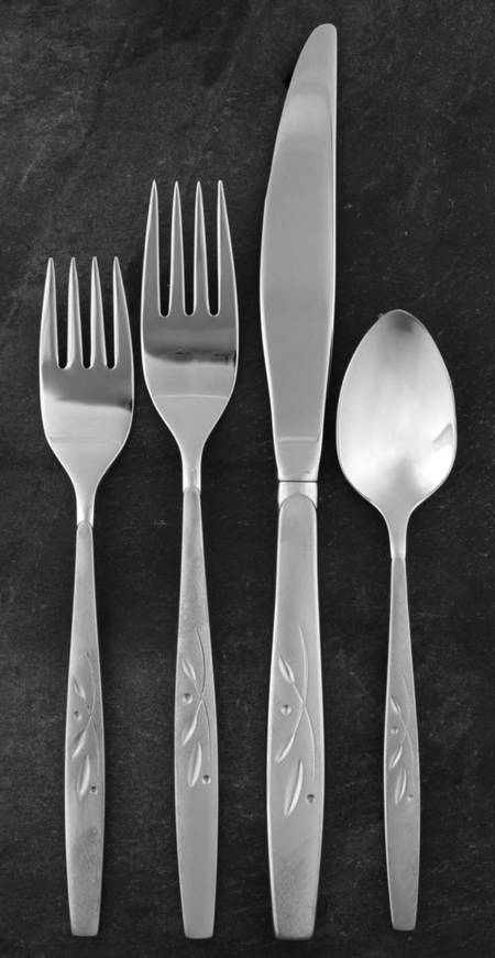 Will O' Wisp (Stainless) 4 Piece Place Setting