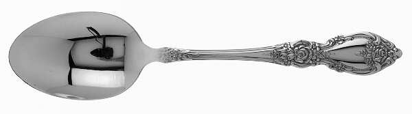 Wordsworth (Stainless) Tablespoon (Serving Spoon)