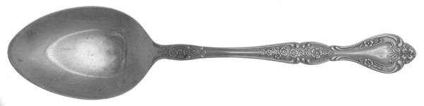 ORL43 (STAINLESS) Tablespoon (Serving Spoon)