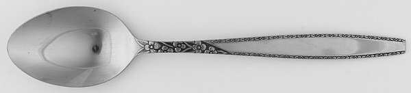 ORL8 (STAINLESS) Tablespoon (Serving Spoon)