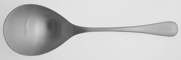 Heron (Stainless) Solid Smooth Casserole Spoon