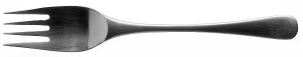 Heron (Stainless) Individual Salad Fork