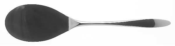 Libra (Stainless) Solid Pastry Server