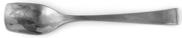Sabrina (Stainless) Sugar Spoon