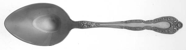 OXH19 (STAINLESS) Tablespoon (Serving Spoon)