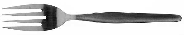 Colorado (Stainless) Individual Salad Fork