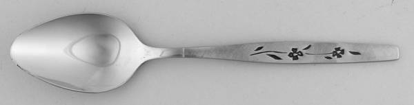 Raddison (Stainless) Place/Oval Soup Spoon