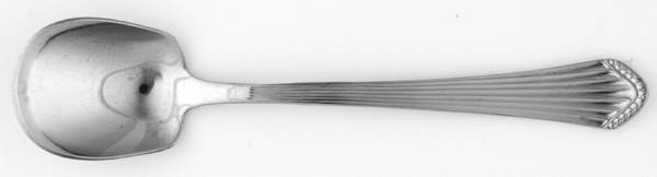 Radiant (Stainless) Sugar Spoon