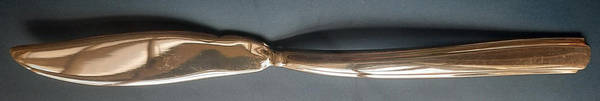 Rendition (Silverplate) Individual Solid Fish Knife