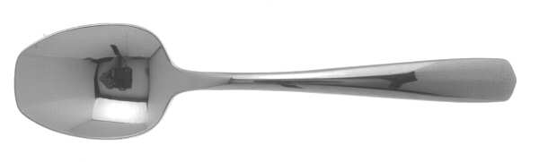Equator (Stainless) Sugar Spoon